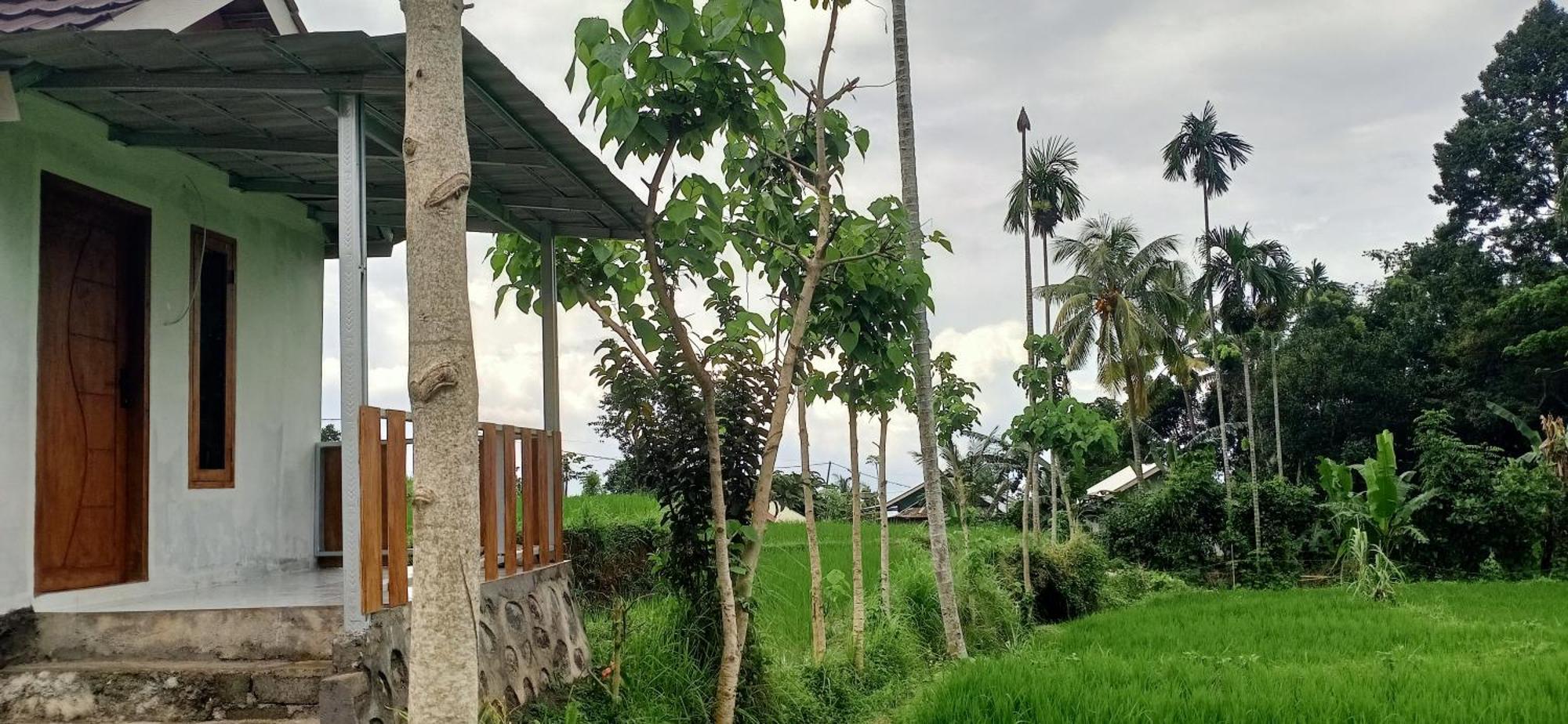 Bayan Exotic Homestay Senaru Kültér fotó