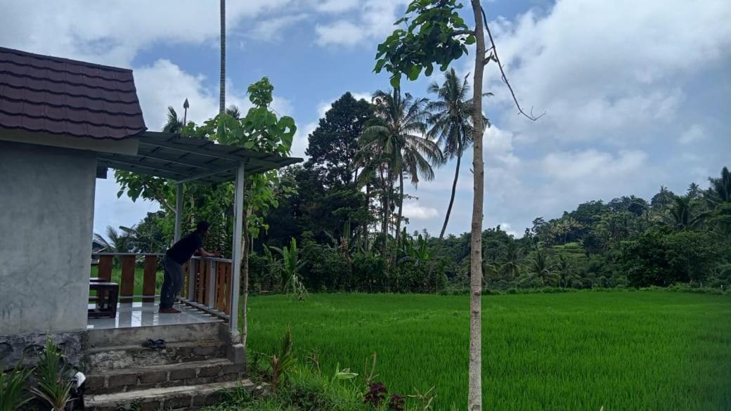 Bayan Exotic Homestay Senaru Kültér fotó
