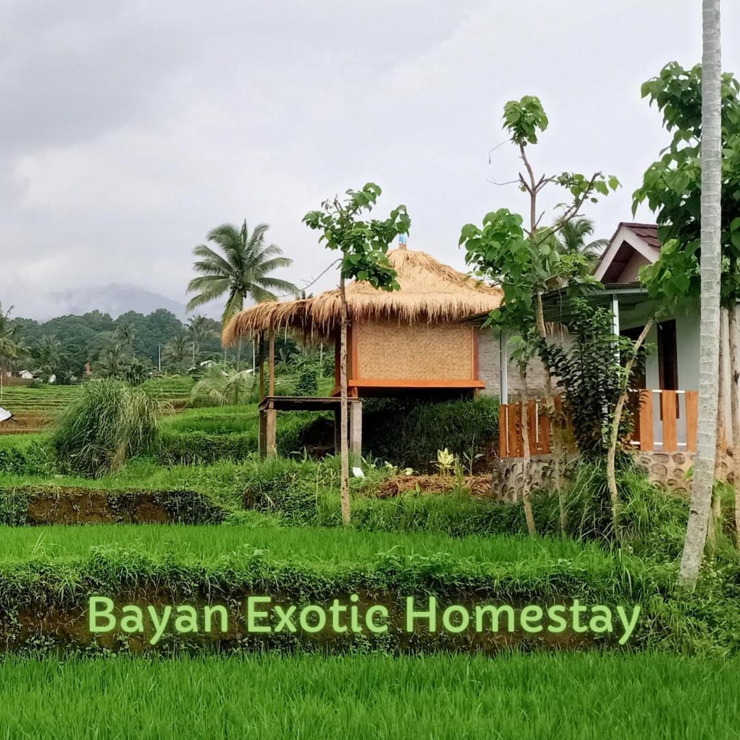 Bayan Exotic Homestay Senaru Kültér fotó